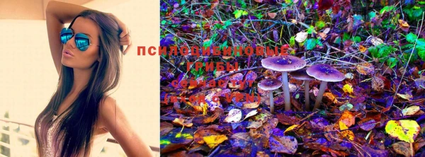 марихуана Абаза